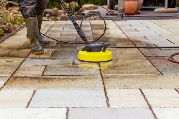 Best Fence Cleaning  in Douglas, MI